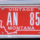 Illustration for article titled The Pitfalls Of The Montana License Plate Scam